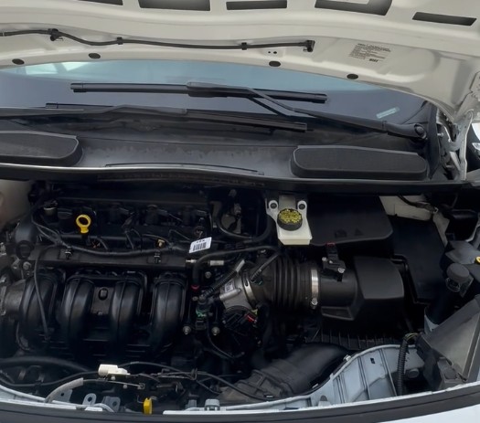 After Cleaning Engine Bay